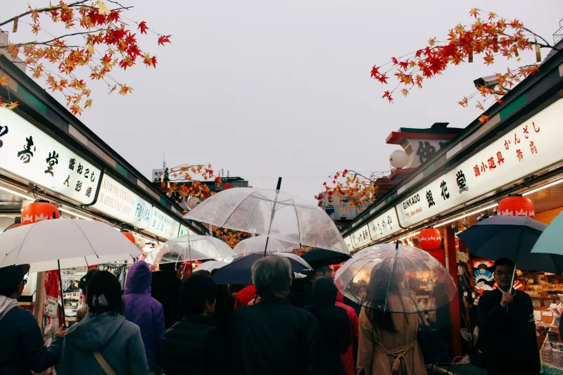 The 'Best Time to Visit' Advice You're Following Was Written Before the Destination Changed